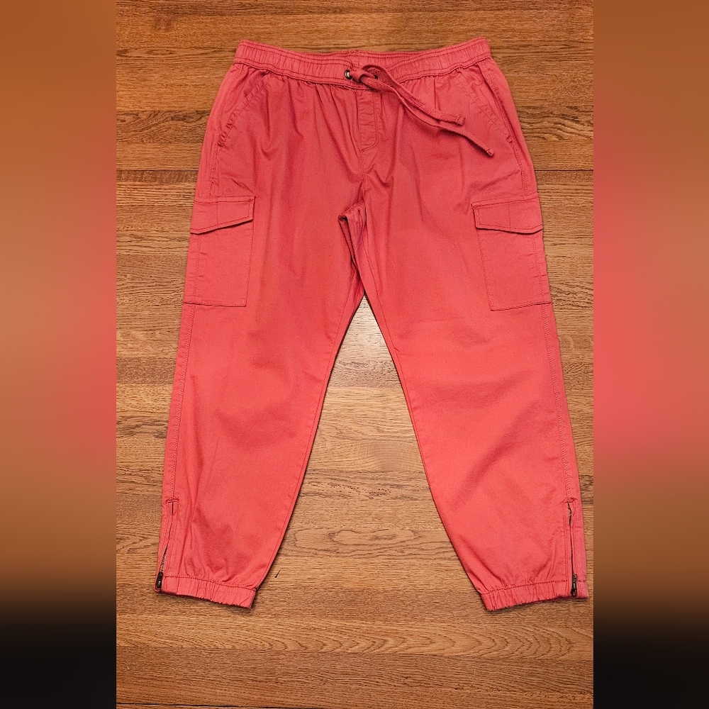 TIME & TRU Women's Ankle Pants. Sz 12.
